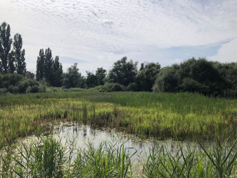 Hobokense Polders